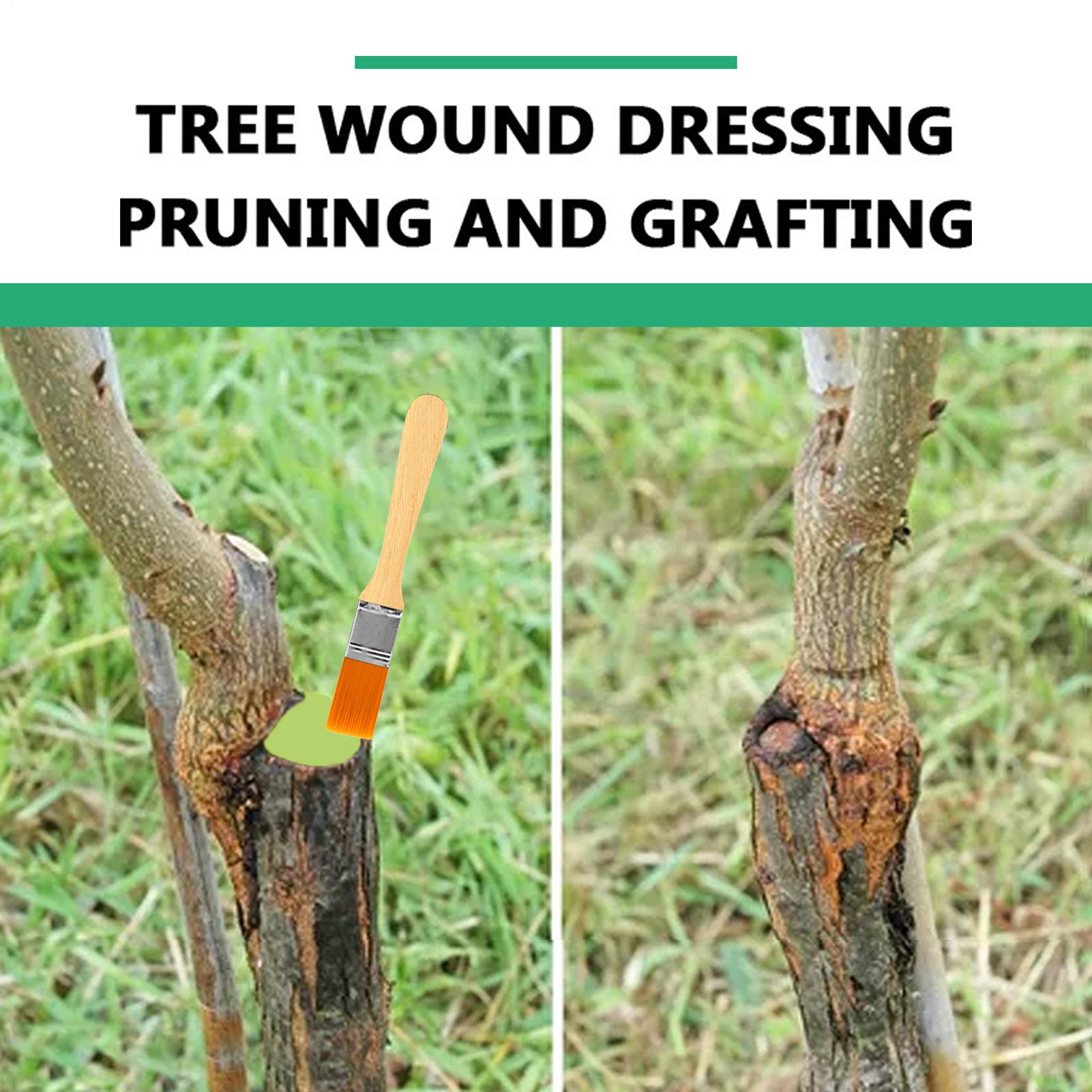 Pruning Sealer 100g Protective - Paint Brush ulasan dan harga