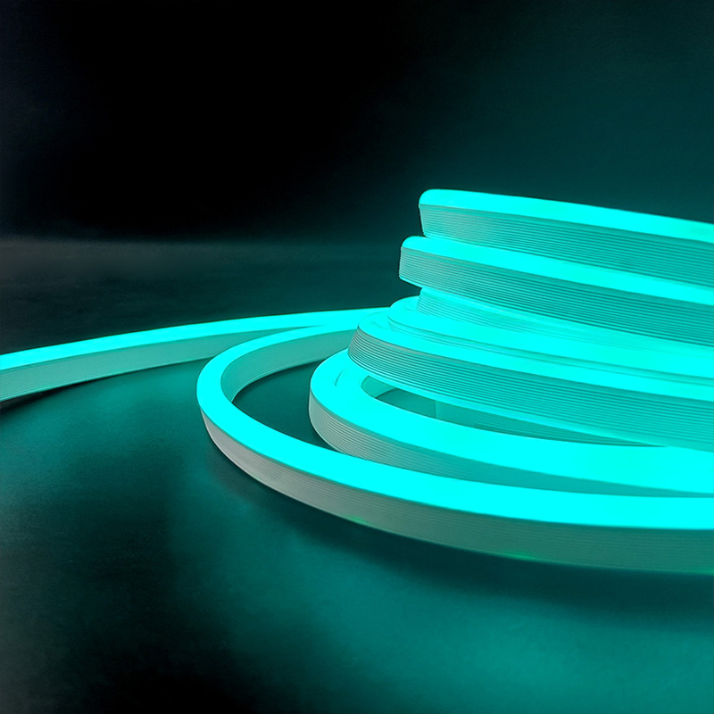 High Brightness RGB LED Neon S - Led Strip Lights ulasan dan harga